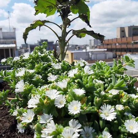 דירה Attico Con Terrazza A בארי