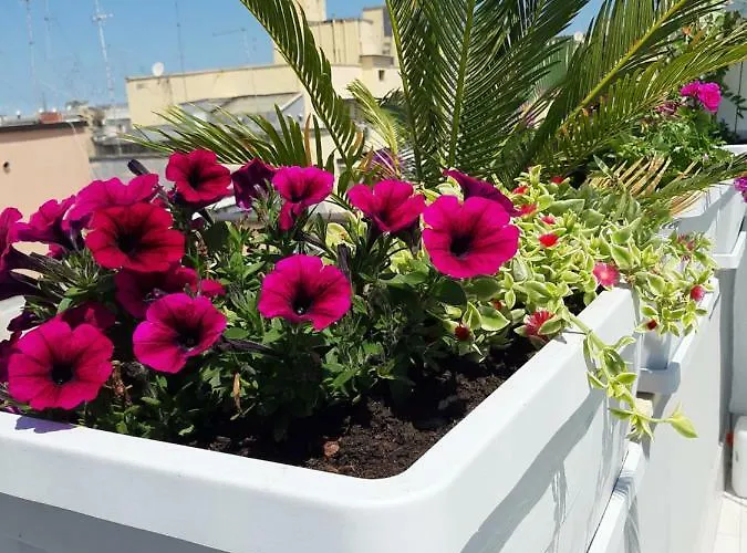 Attico Con Terrazza A Apartament Bari